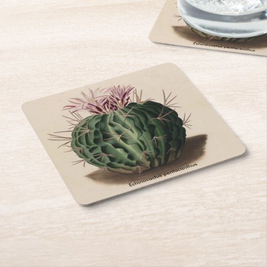 Echinocactus pentacanthus Kaktus-Untersetzer Rechteckiger Pappuntersetzer (angewinkelt)