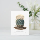 Echinocactus Postkarte (Stehend Vorderseite)