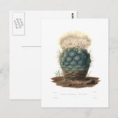 Echinocactus Postkarte (Vorne/Hinten)