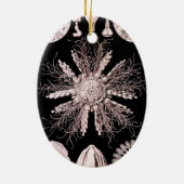 Echinoidea - Sea Urchins Keramik Ornament (Hinten)
