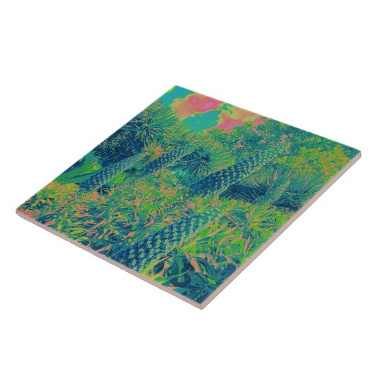 Echium Blume Tropical Vibe Fliese (Seite)