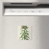 Echium Grandiflorum Magnet (In Situ (Geschirrspüler))