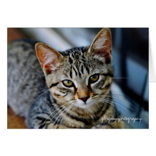 Echo, Glorydaysphotographie