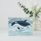 Echo (J42) Postkarte (Stehend Vorderseite)