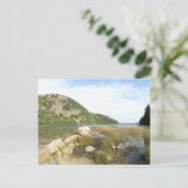 Echo Lake Beach im Acadia National Park Postkarte (Stehend Vorderseite)