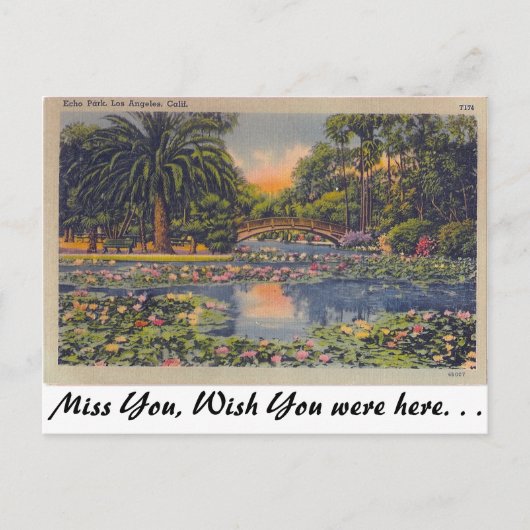 Echo Park, Los Angeles, Kalifornien Postkarte (Vorderseite)