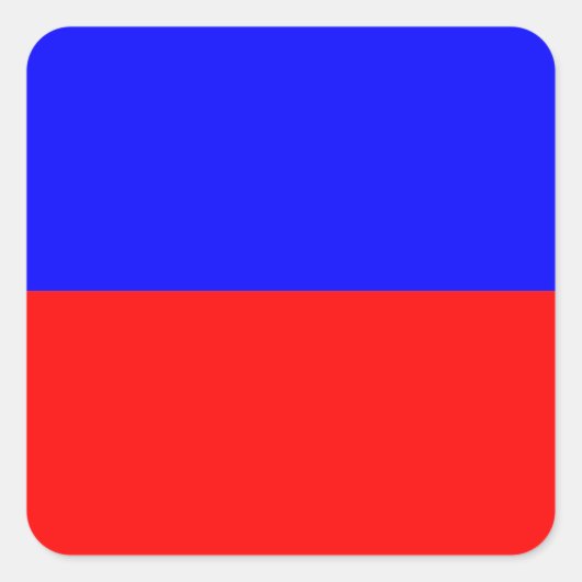 ECHO QUADRATISCHER AUFKLEBER (Vorderseite)