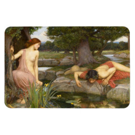 Echo und Narcissus von John William Waterhouse Magnet