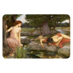 Echo und Narcissus von John William Waterhouse Magnet