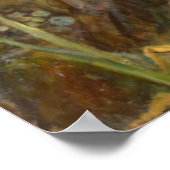 Echo und Narcissus von John William Waterhouse Poster (Ecke)