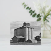 Echoes of the Harvest Postkarte (Stehend Vorderseite)