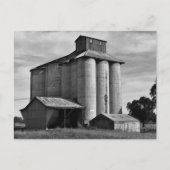 Echoes of the Harvest Postkarte (Vorderseite)