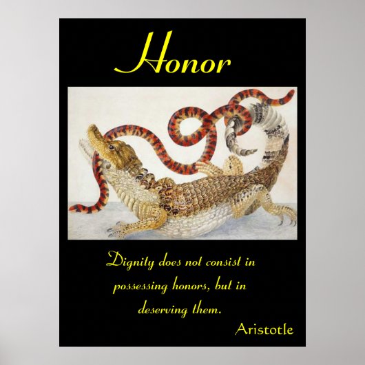 Echos durch die ungezähmte Essenz der Natur Poster (Vorne)