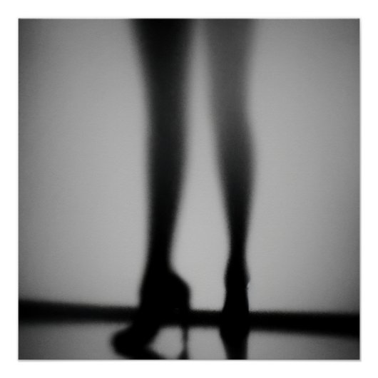 Echos im Schatten Poster (Vorderseite)