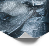 Echos of the Past: Viktorianisches Fischleben Poster (Ecke)