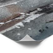 Echos of the Past: Viktorianisches Fischleben Poster (Ecke)