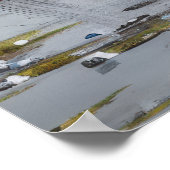 Echos of the Past: Viktorianisches Fischleben Poster (Ecke)