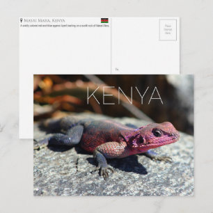 Echse im Masai Mara, Kenia Reise-Postkarte Postkarte