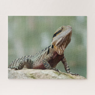 Echse - Östlicher Wasserdrache Puzzle