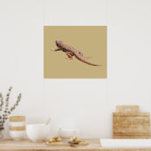 Echse Poster (Küche)