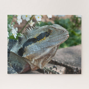 Echse Reptil Östliche Wasserdrache Puzzle