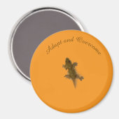 Echsen-Stil Magnet (Vorderseite/Rückseite)