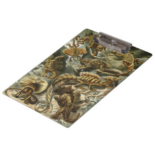 Echsen von Ernst Haeckel Vintage Lacertilia Tier Klemmbrett