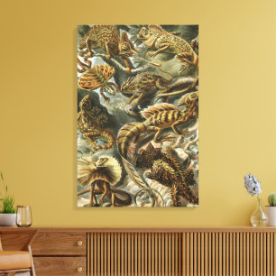 Echsen von Ernst Haeckel Vintage Lacertilia Tier Leinwanddruck