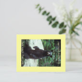 echt erschreckt postkarte (Stehend Vorderseite)