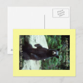 echt erschreckt postkarte (Vorne/Hinten)