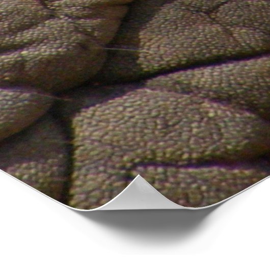 Echte Elefantenhaut Textur, zerknittert. Poster (Ecke)