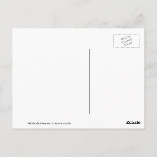 Echte Frauen lesen Postkarten (Rückseite)