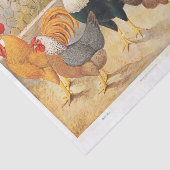 Echte Hühner und Roster-Hühner (nicht KI) Seidenpapier (Ausschnitt)