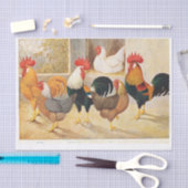Echte Hühner und Roster-Hühner (nicht KI) Seidenpapier (Handwerk)