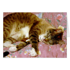 Echte Katze, Fake Cat