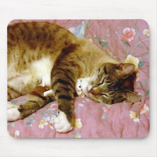 Echte Katze, falsche Katze 2 Mousepad (Vorne)