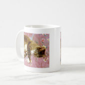 Echte Katze, falsche Katze Kaffeetasse (Vorderseite Links)