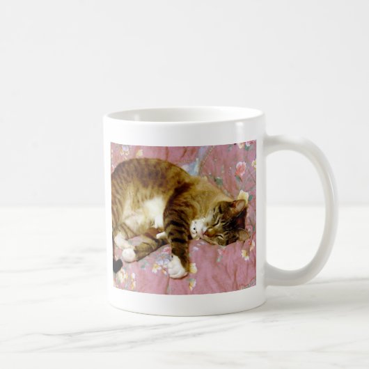 Echte Katze, falsche Katze Kaffeetasse (Rechts)