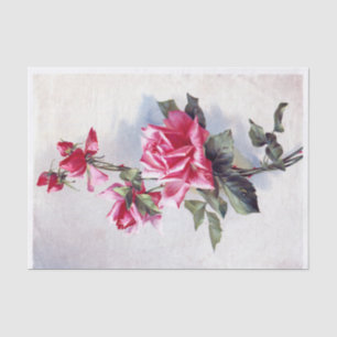 Echte (keine AI) Vintage-Rosen in Rosa von Postkar Seidenpapier