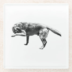 Echte Momente Glasuntersetzer