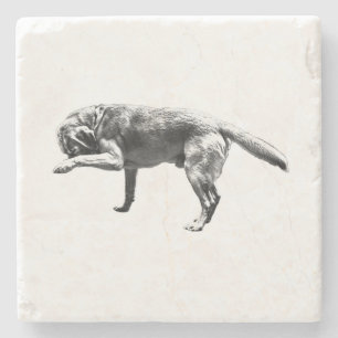 Echte Momente Steinuntersetzer