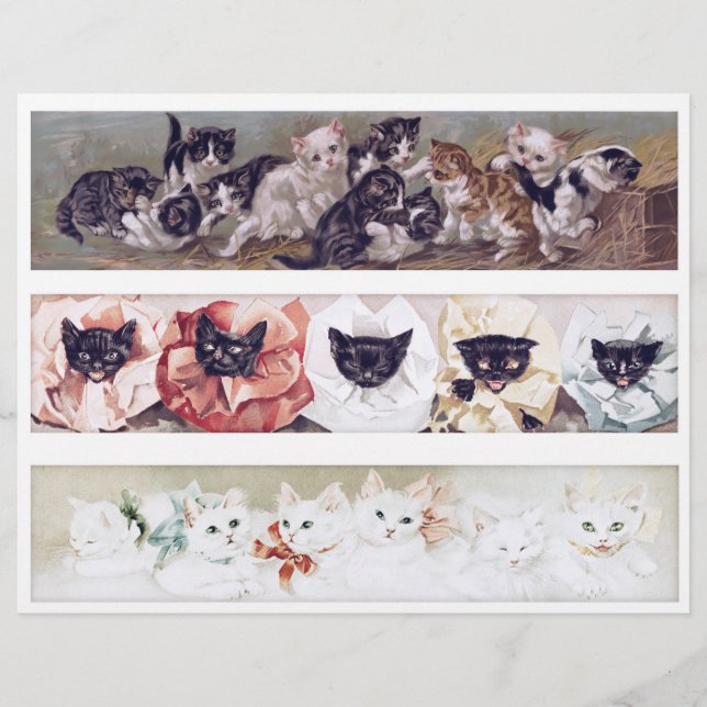 Echte (nicht KI) lange viktorianische Katzenillust (Vorderseite)