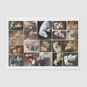 Echte (nicht KI) Vintage-Fotos von Frauen mit Pfer Seidenpapier