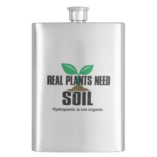 Echte Pflanze benötigen Boden Hydropon ist nicht B Flachmann