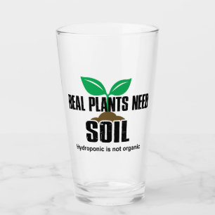 Echte Pflanze benötigen Boden Hydropon ist nicht B Glas