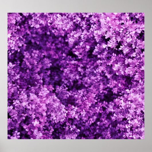 Echte Strickstoffe, texturierter Hintergrund. Poster (Vorne)