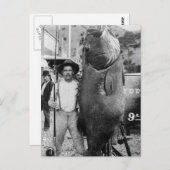 Echter großer Fisch, Anfang der 1900er Jahre Postkarte (Vorne/Hinten)