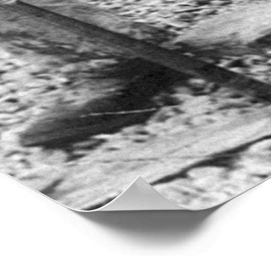 Echter großer Fisch, Anfang des 19. Jahrhunderts Poster (Ecke)