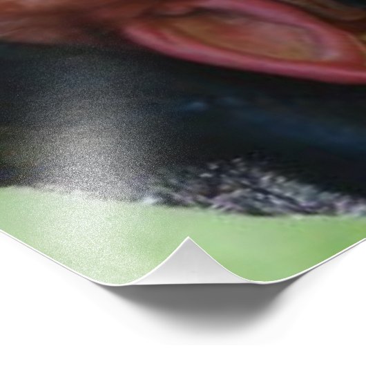 echter Kobold Fotodruck (Ecke)