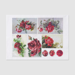 Echtes (nicht KI) Set von Klien (1820-1929) Rosen Seidenpapier